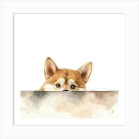 Shiba Inu 5 Art Print