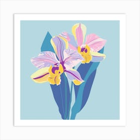 Orchids 14 Art Print