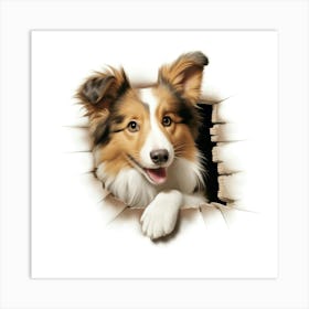 Sheltie 2 Art Print