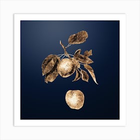 Gold Botanical Apple on Midnight Navy n.3168 Art Print