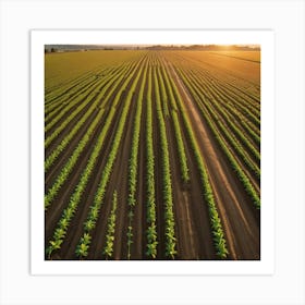 Aerial View Of A Farm Field At Sunset Art Print