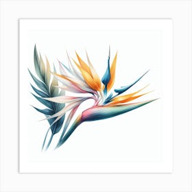 Flower of Bird of Paradise Art Print