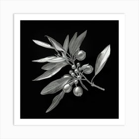 Olive Branch 1 Art Print