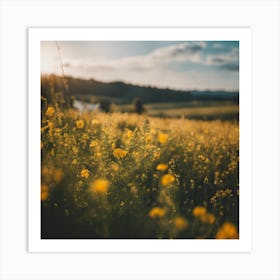 Sunflowers In The Field 8 Art Print