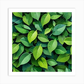 Green Leaves 1 Art Print