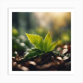 Leaf In The Forest Art Print