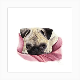 Cute pug in bed Art Print