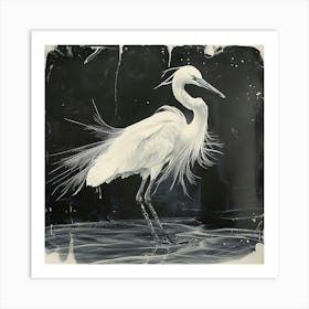 White Egret 1 Art Print