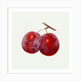 Two Plums Art Print