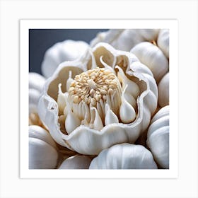 Close Up Of Garlic Art Print