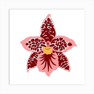 Orchid Flower Square Art Print