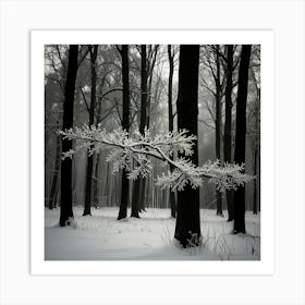 Winter Forest Art Print