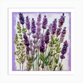 Lavenders Art Print