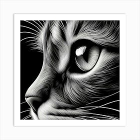 Cat'S Face 2 Art Print