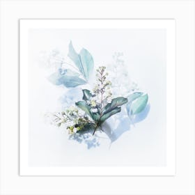 White Flowers On A White Background Art Print