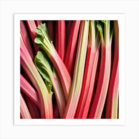 Rhubarb 6 Art Print