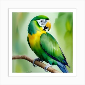 Parrot Painting Art Print