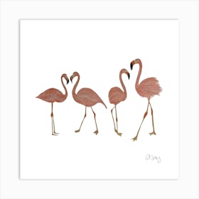 Flamingos. 1 Art Print