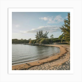 Beach - Beach Stock Videos & Royalty-Free Footage 3 Art Print