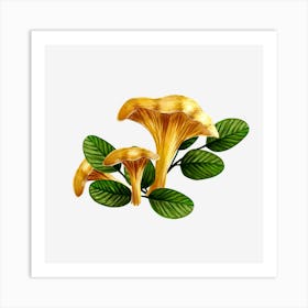 Chanterelle Mushrooms Art Print