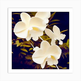 Creamy Sculpted Orchids Art Print