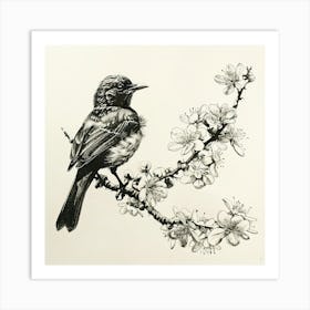 Bird On A Branch 1 Art Print