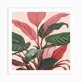 Pink And Red Plant Illustration Chinese Evergreen Art print 3 Art Print