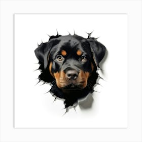 Rottweiler Art Print