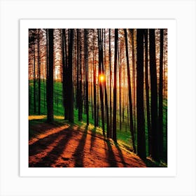 Sunset In The Forest 26 Art Print