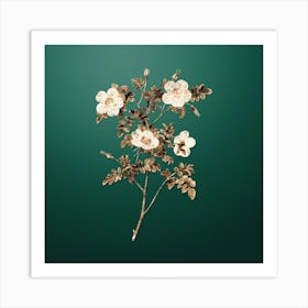 Gold Botanical White Candolle's Rose on Dark Spring Green n.3618 Art Print
