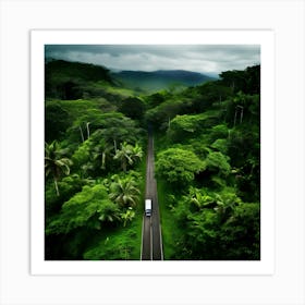 Aerial Road In The Rain Forest Art Print