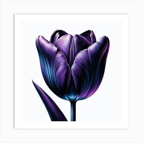 Purple Tulip Art Print