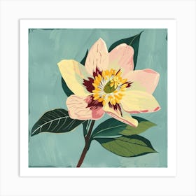 Hellebore 3 Square Flower Illustration Art Print