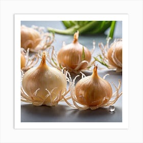 Onion Bulbs Art Print