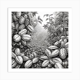 'Coffee Plantation' 1 Art Print