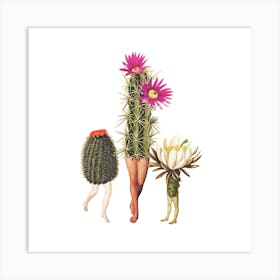Cactus Trio Square Art Print