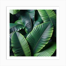 Tropical Leaves Background Art Print