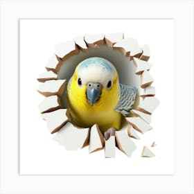 Yellow Budgie Art Print