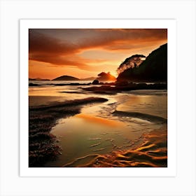 Coromandel Beach New Zealand Art Print