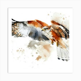 Red Kite Watercolor Painting Art Print