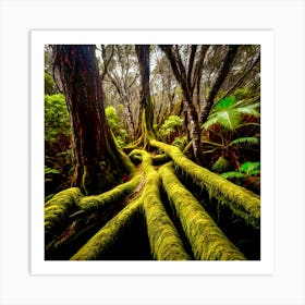 Mossy Tree Roots  Art Print