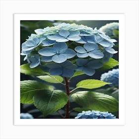 Hydrangea 1 Art Print