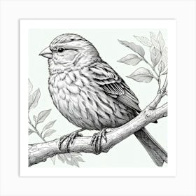 Line Art canary Art Print