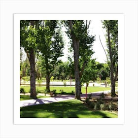 Park With Trees 1 Art Print