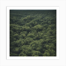 Ecuador Forest Art Print