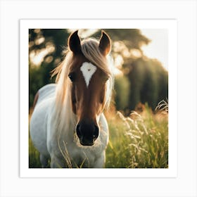 Horse In The Field 2 Art Print
