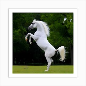 White Horse Standing On Hind Legs Art Print