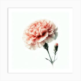 Carnation Art Print