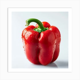 Red Pepper Isolated On White Background Art Print