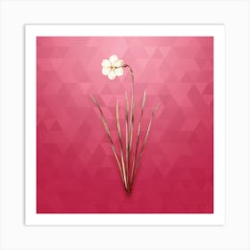 Vintage Narcissus Poeticus Botanical in Gold on Viva Magenta n.0030 Art Print